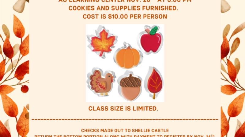 fall royal icing cookie class